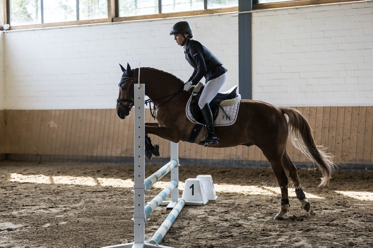 Bild 5 - Pony Akademie Turnier